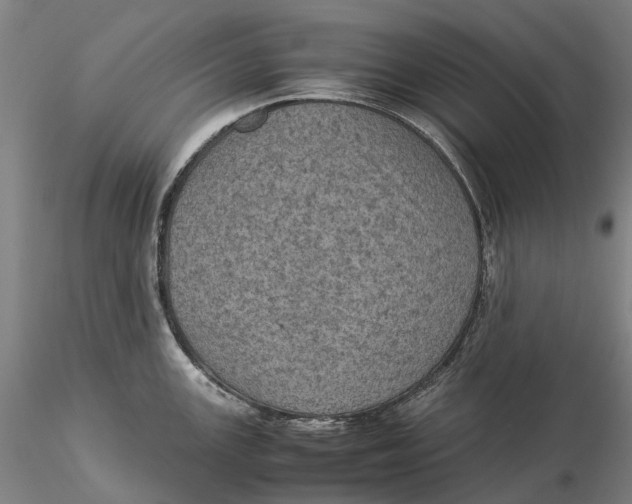 X0000115581147200912011433