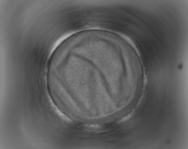 X0000115581149200912011433