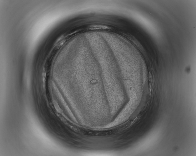 X0000115581151200912011433