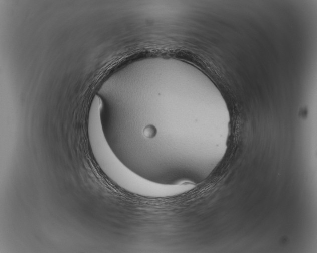 X0000115581153200912011432