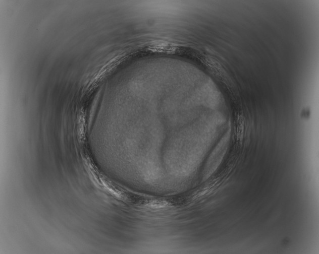 X0000115581154200912011432