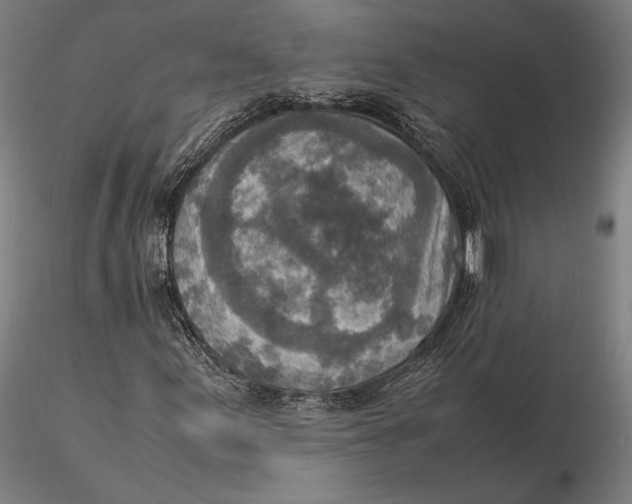 X0000115581155200912011432