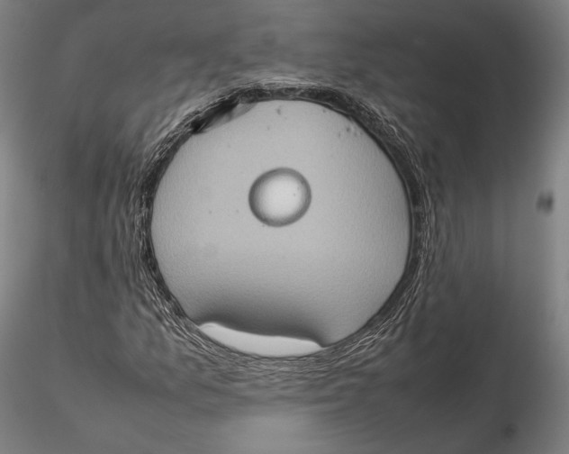 X0000115581157200912011432