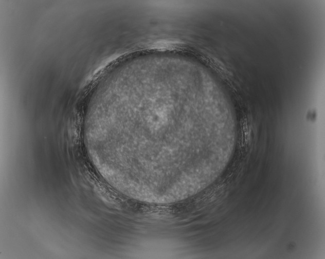 X0000115581158200912011432