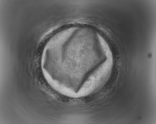 X0000115581159200912011432