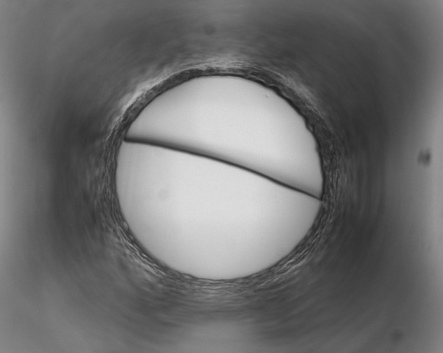 X0000115581160200912011432