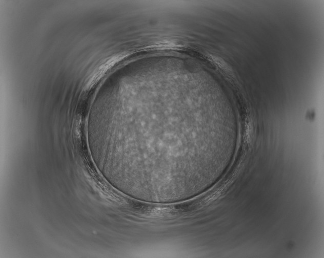 X0000115581161200912011432