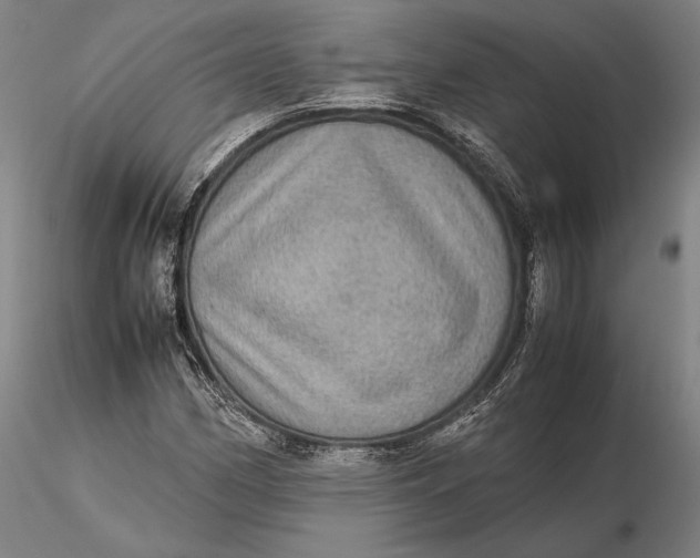 X0000115581162200912011432