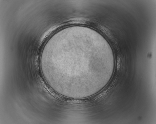 X0000115581164200912011432