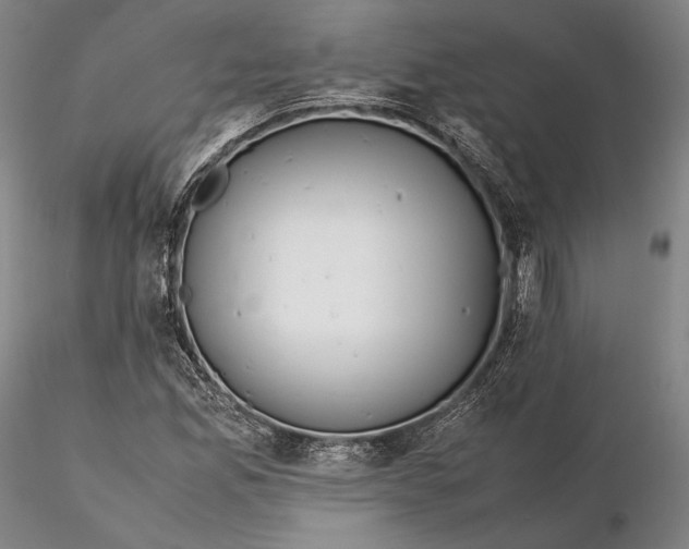 X0000115581165200912011432