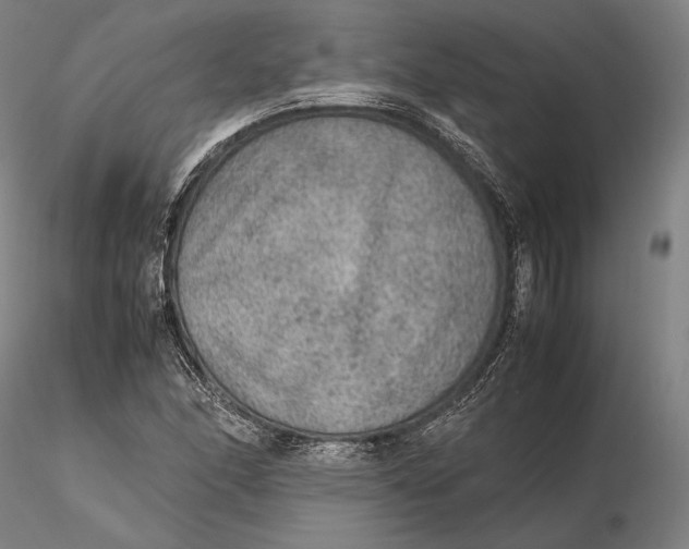 X0000115581166200912011432