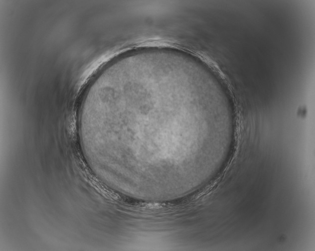 X0000115581167200912011432