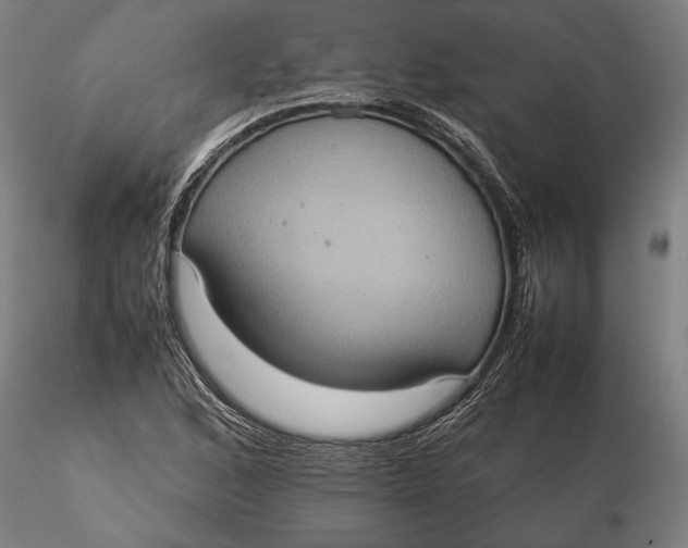 X0000115581168200912011432