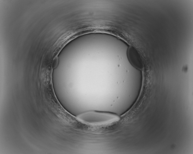 X0000115581169200912011432