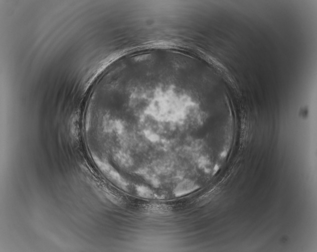 X0000115581170200912011432