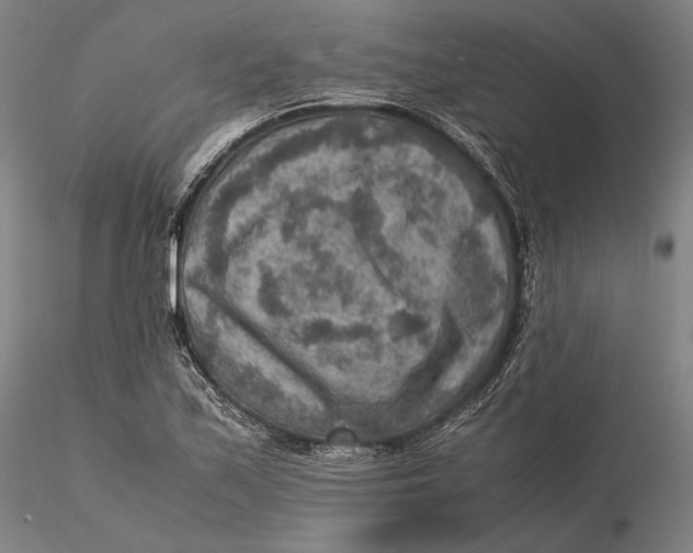 X0000115581171200912011432