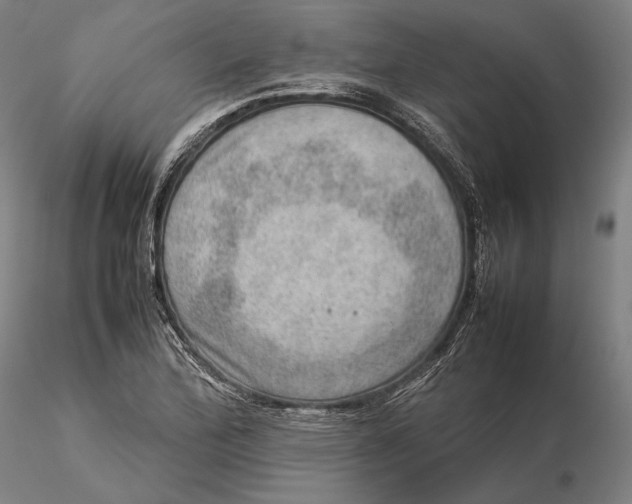 X0000115581172200912011432