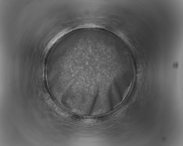 X0000115581173200912011432