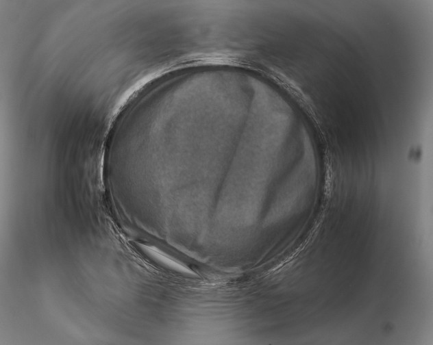 X0000115581174200912011432