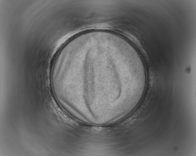 X0000115581176200912011432