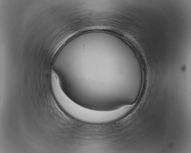 X0000115581177200912011432