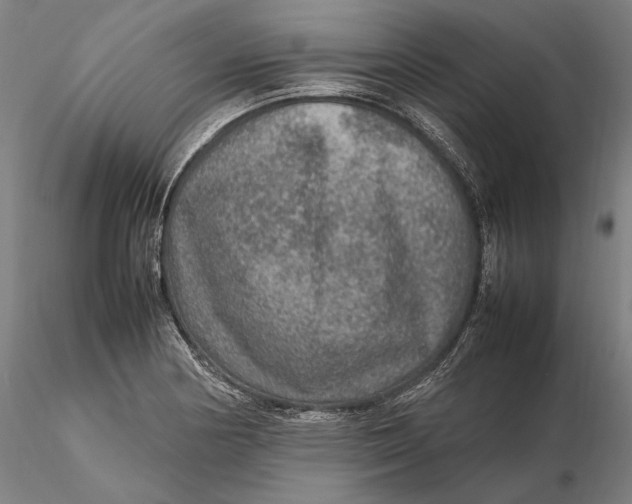 X0000115581178200912011432