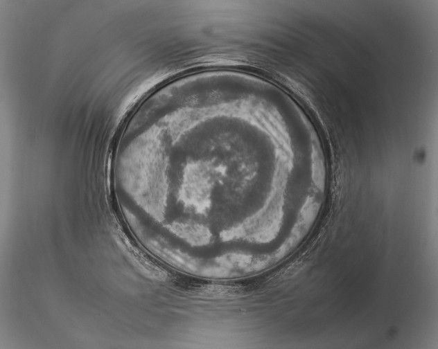 X0000115581179200912011432