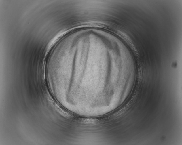 X0000115581180200912011432