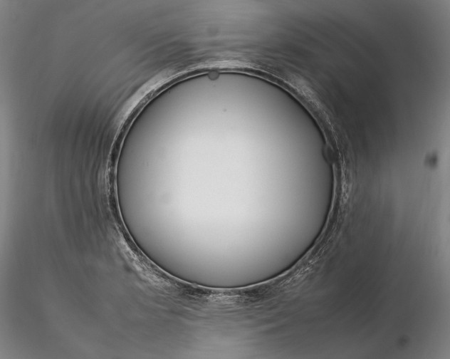 X0000115581181200912011432