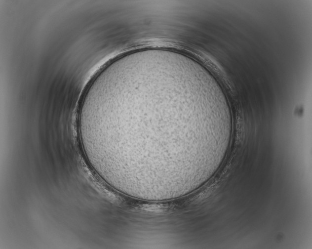 X0000115581182200912011432