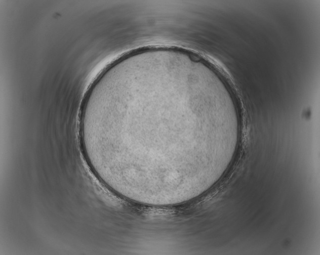 X0000115581183200912011432