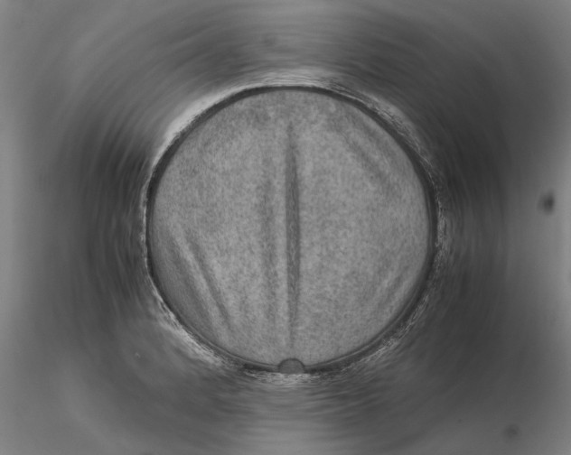 X0000115581184200912011432