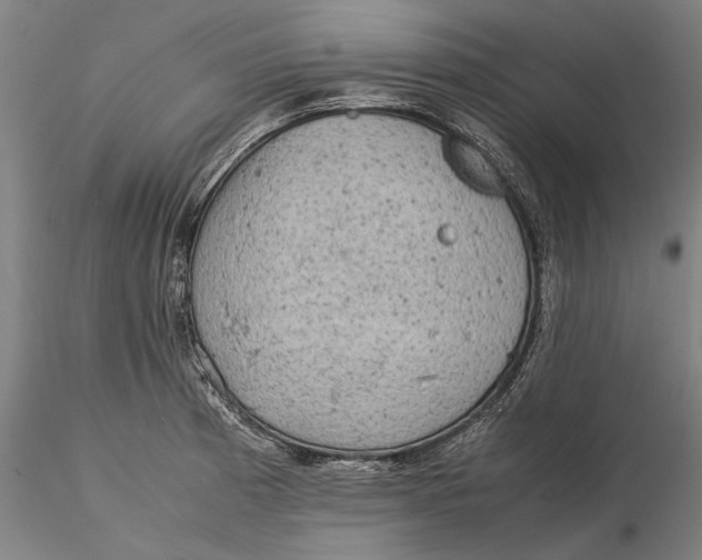 X0000115581185200912011432