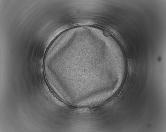 X0000115581186200912011432