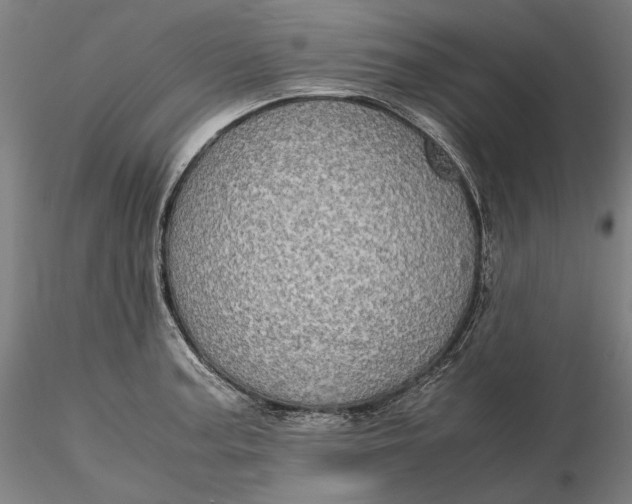 X0000115581187200912011432