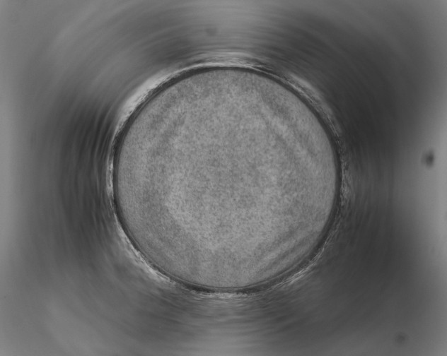 X0000115581188200912011431