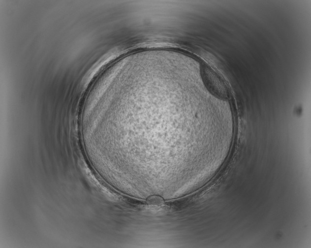 X0000115581189200912011431