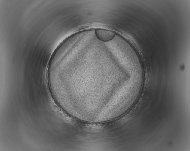 X0000115581190200912011431