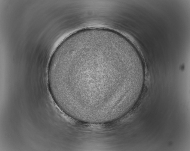 X0000115581191200912011431