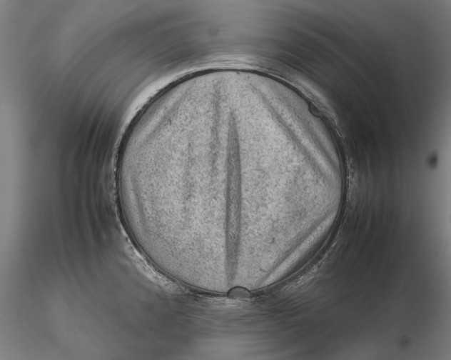 X0000115581192200912011431