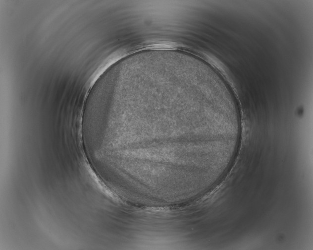 X0000115581194200912011431