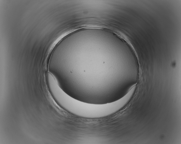 X0000115581195200912011431