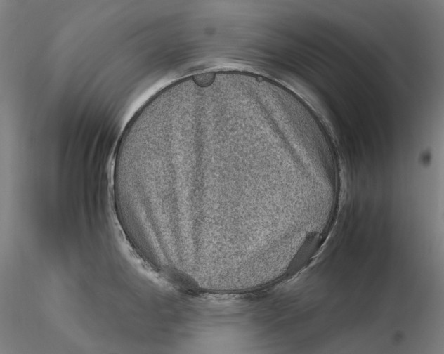 X0000115581198200912011431