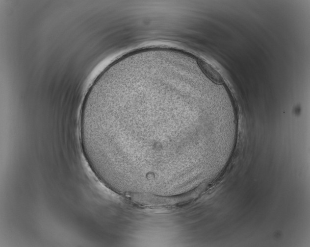 X0000115581199200912011431