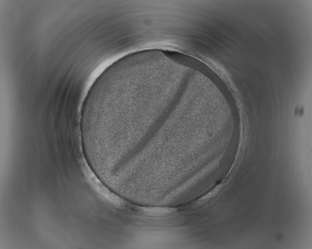 X0000115581200200912011431