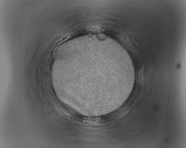 X0000115581201200912011431