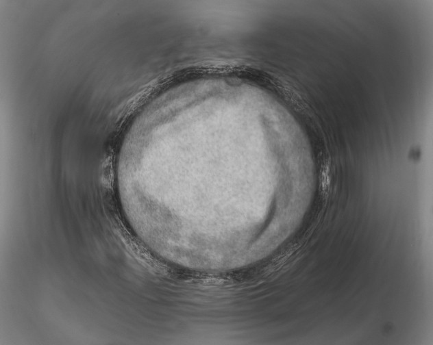 X0000115581204200912011431