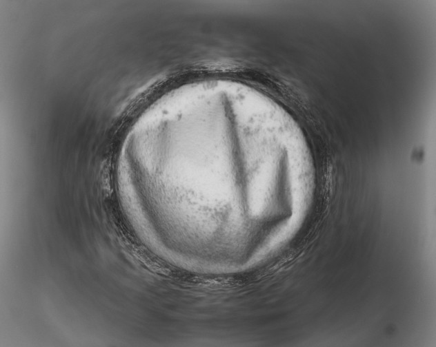 X0000115581205200912011431