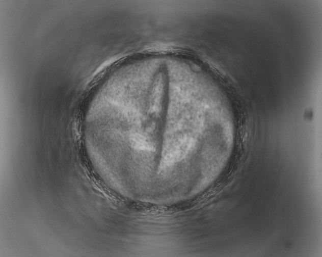 X0000115581206200912011431