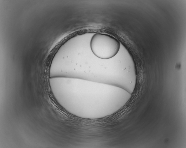 X0000115581208200912011431